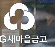 '새마을금고 감독 강화' 금융위원회 상호금융팀 출범