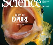 [표지로 읽는 과학] 호기심 넘쳐 머리 끝부터 발끝까지 다양해진 물고기 