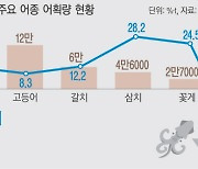 25.8도까지 오른 동해…오징어 ‘대탈출’