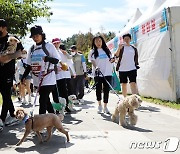 '우리집 막둥이' 제주 반려동물 문화축제 내달 4~5일