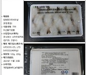 식중독균 검출된 베트남산 냉동 새우살…판매 중단·회수