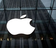 번스타인, 애플 투자의견 상향…"목표주가 195달러"