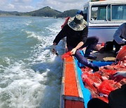 서산시, 가로림만 낙지 산란·서식장 조성… 2027년까지 30억 원 투입