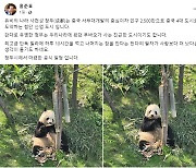 中 방문 중인 홍준표, 판다 사진 올리며 "사람 팔자보다 낫다"