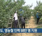 경북도, 영농철 인력 98만 명 지원