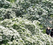 흐린 화요일(30일), 곳곳 ‘비’…더위 꺾이며 최고 26℃