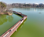 녹조제거선 두 배 이상 늘린다...'녹조 중점 관리 방안' 발표