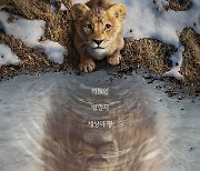 30주년 기념 프리퀄 '무파사: 라이온 킹', 12월 개봉 확정