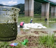 녹조발생 차단차 오수시설 1200곳 점검…녹조제거선 35대 띄운다