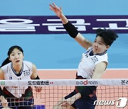 여자배구 아시아쿼터 위파위·메가, 원 소속 구단과 재계약
