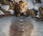 '무파사: 라이온 킹', 12월 개봉 확정…'라이온 킹' 프리퀄