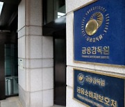 “新 일반 사모펀드 보고 시스템 사용법 듣고 가세요” 금감원, 업무설명회 개최
