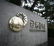 "사모펀드 보고서 개정" 금감원, 운용사 업무설명회 개최