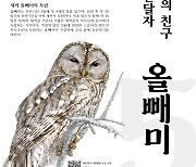 환경부, 5월의 멸종위기 야생동물로 '올빼미' 선정