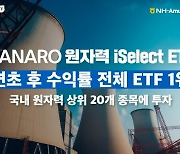 수익률 45%…올해 가장 잘나가는 'ETF'는?