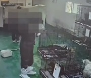 "마취없이 유기견 37마리 죽였다"…밀양 동물보호센터 '참극', "진상조사"
