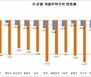 부산지역 개별 주택가격 0.42%↓…하락률은 감소