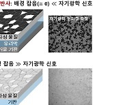 이달의 과학기술인상에 서민교 교수