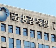 금감원, 불법공매도 전수조사 중간결과 모레 발표