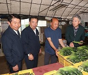 강호동 농협중앙회장, 오이농가 생육상황 현장 점검