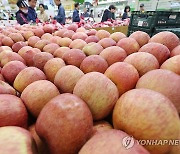 충주시 '이지플' 신품종 사과 생산단지 조성 위해 업무협약