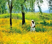 두근두근 '자전거 로망스 in 공주'