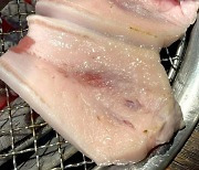 “이건 혹시 흰살 생선?” 제주 흑돼지 고깃집서 당황한 사연