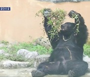 [화제현장 이곳] 청주 동물원, ‘동물 보호’ 위한 ‘생태 해설’ 운영