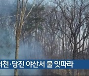서천·당진 야산서 불 잇따라