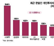 "쌀 때 사자" 개미, 1조 넘게 줍줍했는데…증권가 "반등은 하반기에"