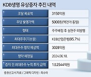 'M&A 중단' KDB생명, 내재가치 마이너스 지속 [투자360]