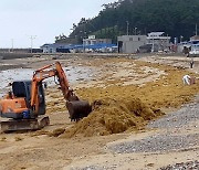 '바다의 불청객' 괭생이모자반 출현…비상대응체제 가동