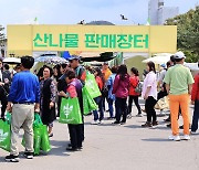 [영양소식] 산나물축제 기간 바가지요금 집중 단속