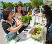 양구 대표 봄축제 ‘2024 청춘 양구 곰취축제’ 개막