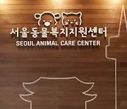서울동물복지지원센터 마포, 보호동물 산책 자원봉사자 '모집'