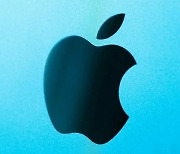애플, 역대 최대 자사주 매입…아이폰 판매량 10% 감소