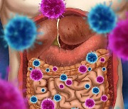 [강민성의 헬스토리] 모든 병은 장에서 시작된다…몸속 유익균 늘리려면