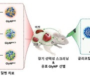 약물을 탄수화물에 감싸 질병 부위로만 보낸다