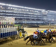 [경마] 한국마사회, 벚꽃축제와 함께한 상반기 야간 경마 결산