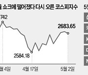 5월도 '박스피'…탈출구는 반·전·차