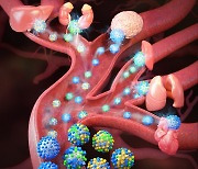 KAIST, 장기로 직접 약물 전달·치료 ‘나노 의약’ 개발