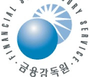 매출·매출원가 허위계상 빈번···금감원 작년 회계·감리 지적사례 14건 공개