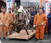 탐라국 입춘굿·추자 참굴비축제, 제주 최우수 축제로