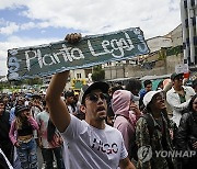 Ecuador Marijuana