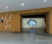 국립민속박물관 특별전 '요물, 우리를 홀린 고양이' 개최
