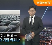 [탐사보도 뉴스프리즘] 테슬라 주가 널뛰기는 왜…韓 자동차 기회 커지나
