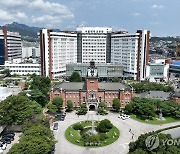 서울의대 교수 97% "환자 지키고싶어"…'사직 강행'은 4%
