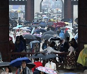 우산으로 가득한 경복궁 [포토]