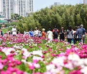 6000만 송이가 활짝…다음주 울산 태화강국가정원에선 ‘봄꽃 축제’