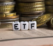 ETF 시가총액 상위 5개 살펴보니... 4종목이 모두 '파킹'형